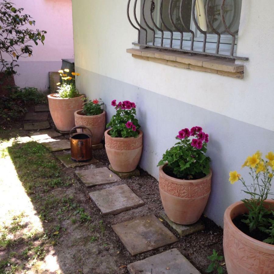Villa Toulousaine Grisolles  Exterior foto
